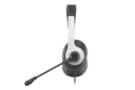 FH100U, A4TECH, Headphone, Mic Panda