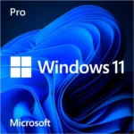 FQC-10530 Microsoft Windows 11 Pro 64Bit Eng Intl 1pk DSP OEI DVD/VERSION 24H2